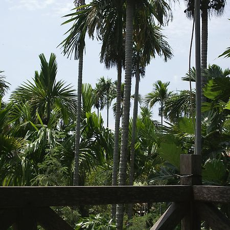 Lila Homestay Hội An Buitenkant foto