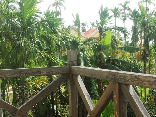 Lila Homestay Hội An Buitenkant foto